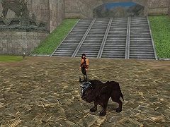 ������#002�Υ���ͥ���/��ŷƻ����饤��ס��ݤ�����ʪ�κ���ۤ������áָ޿��������о�