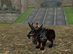 ������#003�Υ���ͥ���/��ŷƻ����饤��ס��ݤ�����ʪ�κ���ۤ������áָ޿��������о�