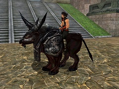 ������#004�Υ���ͥ���/��ŷƻ����饤��ס��ݤ�����ʪ�κ���ۤ������áָ޿��������о�