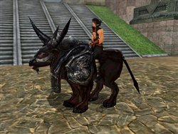 画像集#004のサムネイル/「天道オンライン」本日よりNEXONでのサービススタート