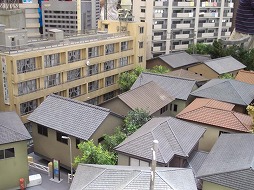 ꡼ No.005Υͥ / ֥ͥ51ס4Ǻʤ̴ĺʡֵʼ ˸ 