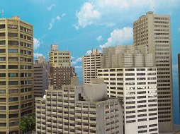 ꡼ No.007Υͥ / ֥ͥ51ס4Ǻʤ̴ĺʡֵʼ ˸ 