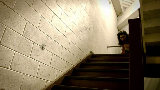 ꡼ No.008Υͥ / ֥ͥ51ס10ǺʤϡV/H/Sɥ