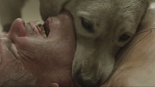 画像ギャラリー No.004のサムネイル画像 / 「キネマ51」: 第11回上映作品は「ABC・オブ・デス」