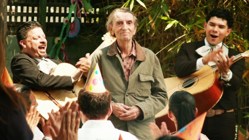 ꡼ No.005Υͥ / ֥ͥ51ס45Ǻʤϡ֥å