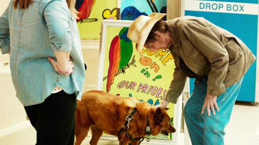 ꡼ No.006Υͥ / ֥ͥ51ס45Ǻʤϡ֥å