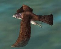 ������#004�Υ���ͥ���/�ֽ���Ƿŷ�ס����ä䳰�Ȥ��������Ψ��2�ܤ�