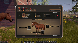 Rancher: A new life