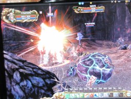 ꡼ No.005Υͥ / G2009ڻƮ衩ͭ̾Ȥ̶Ϥˤ륹ȡ꡼ŸΡOnline