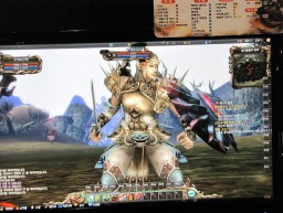 ꡼ No.006Υͥ / G2009ڻƮ衩ͭ̾Ȥ̶Ϥˤ륹ȡ꡼ŸΡOnline