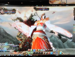 ꡼ No.007Υͥ / G2009ڻƮ衩ͭ̾Ȥ̶Ϥˤ륹ȡ꡼ŸΡOnline