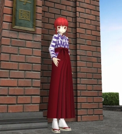 ꡼ No.010Υͥ / ɱĥեߥͻǥΥꥸʥ륫顼ɱȯ