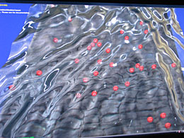 ꡼ No.006Υͥ / GDC200841100ѡƥήΤʪ󥸥OctaveEngine