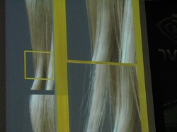 ꡼ No.022 | CEDEC 200807NVIDIAȯŴ餤Ĥ˥ꥢ륿إߥ졼