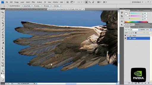 Adobe Photoshop CS4ˤ륨ꥢGPU졼ͭ