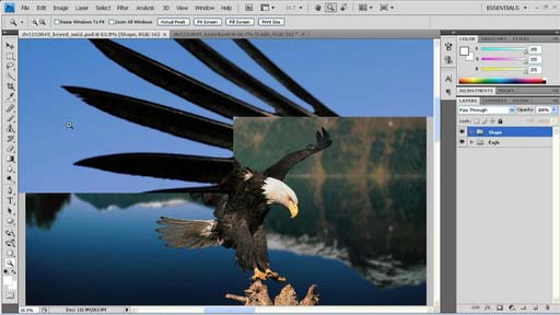 Adobe Photoshop CS4ˤ륨ꥢCPU
