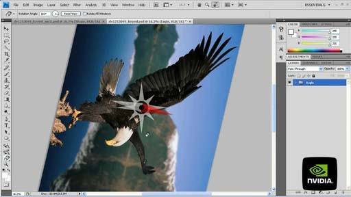 Adobe Photoshop CS4ˤ롤GPUѤХβž