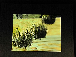 ꡼ No.066Υͥ / ֥饦Ǥޤư륲˾ƤɥӤγȯԥ٥ȡADC MEETUP Round 04 Social Gamingץݡ