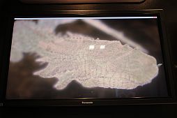 ꡼ No.009 | GDC 2012ϥꥳ󥹥߳ȯι񻺥೫ȯĶParadox EngineפŸ