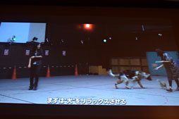 ꡼ No.023 | CEDEC 2012ϥᥤ󥰥֡Agnis Philosophyסˤμ奲२󥸥Luminous StudioפȤäѥǥ⡤γȯ 