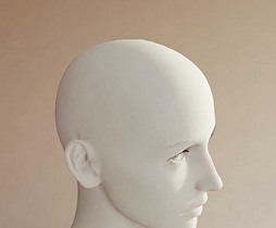 ꡼ No.004Υͥ / SQEXOC 2012ϡAgni's PhilosophyפѤ줿եåѲԡˡAgniȱɽϤˤƼ¸줿Τ