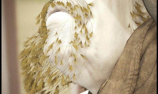 ꡼ No.030Υͥ / SQEXOC 2012ϡAgni's PhilosophyפѤ줿եåѲԡˡAgniȱɽϤˤƼ¸줿Τ