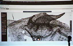 ꡼ No.019 | CEDEC 2013ϼ̿٤3Dǡ֥ꥢƥץ㡼פ೫ȯԤˤϤȤˤäƤ