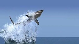 ꡼ No.006 | G-Star 201310ѡƥˤꥢʿήʤɡڹߥɥ륦μϤ򸫤