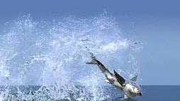 ꡼ No.007 | G-Star 201310ѡƥˤꥢʿήʤɡڹߥɥ륦μϤ򸫤