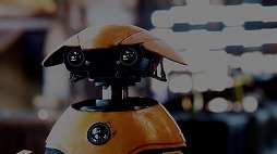 ꡼ No.004 | ꥳ󥹥EIZOHDRƥѥ塼Ƕ