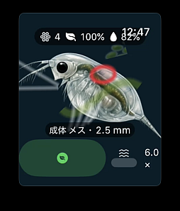 画像ギャラリー No.003のサムネイル画像 / ミジンコの成長や繁殖を観察できるシミュレーションゲーム「ミジンコ:生態観察ゲーム」Apple Watch向けに配信中