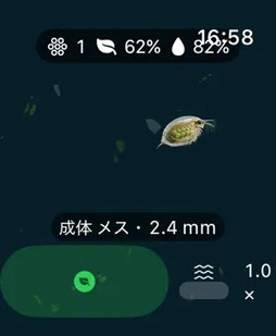 ミジンコ：生態観察ゲーム