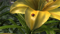 ꡼ No.007Υͥ / DirectX 11®륲οʲAMDDirectXΥݥȤȥåȤ