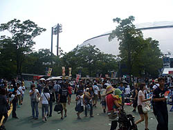 ꡼ No.002Υͥ / ͥԤϻϵ弰Υޥɤˡ ֥ץ եߥ 饤 2010ȡʥȷ辡郎ɡǳ