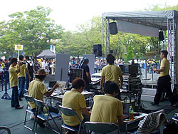 ꡼ No.005Υͥ / ͥԤϻϵ弰Υޥɤˡ ֥ץ եߥ 饤 2010ȡʥȷ辡郎ɡǳ