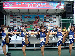 ꡼ No.006 | ͥԤϻϵ弰Υޥɤˡ ֥ץ եߥ 饤 2010ȡʥȷ辡郎ɡǳ