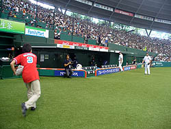 ꡼ No.018Υͥ / ͥԤϻϵ弰Υޥɤˡ ֥ץ եߥ 饤 2010ȡʥȷ辡郎ɡǳ