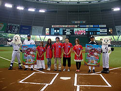 ꡼ No.019Υͥ / ͥԤϻϵ弰Υޥɤˡ ֥ץ եߥ 饤 2010ȡʥȷ辡郎ɡǳ