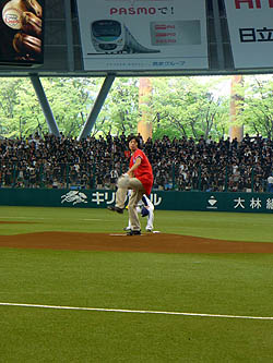 ꡼ No.021Υͥ / ͥԤϻϵ弰Υޥɤˡ ֥ץ եߥ 饤 2010ȡʥȷ辡郎ɡǳ