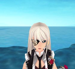 ���������꡼ No.011�Υ���ͥ������ / �֥��륿�����פ��������ƥ�֥ѥ󥯥Х�ɥܥå����פ�ֽ鿴�ԥѥå�������