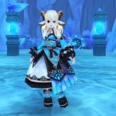 ꡼ No.007Υͥ / ֥륿Сסǽʥꥪ611˼ͽ