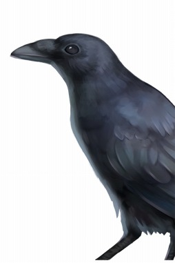 ꡼ No.004 | ֥륿С׿ʥꥪפߥåХ󥹤Ĵ