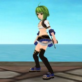 ꡼ No.005Υͥ / ֥С׳иͤåפLv100ܻؤиͶ֡פ»