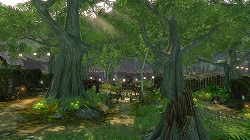 ������#024�Υ���ͥ���/12��18��ȯ��ͽ�ꡤ������������Ⱝ���Ĥ����Ȥˤ�����ͳ��RPG��Fable II�פ���Ի�ͷ��ݡ��Ȥ�Ǻ�