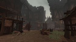 ������#005�Υ���ͥ���/�������ä���ͩ��Υæ�ͥ��ǽ�ʡ��Xbox 360��Fable II�״�����ǰ���٥�ȥ�ݡ���