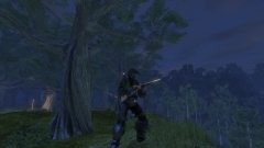 画像集#002のサムネイル/X360「Fable II」,初回限定版は「Halo」ファンも注目? ボーナスゲームコンテンツの詳細が明らかに