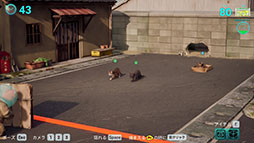 キャットニャーティレーション