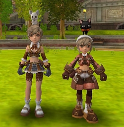 ������#004�Υ���ͥ���/�ڥ�꡼���ۡ�FLORENSIA�ס�Ƭ��˥��������꡼���и����뿷�����ƥ����