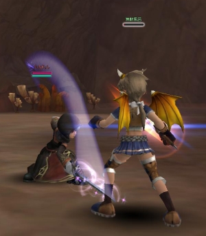 ꡼ No.004Υͥ / MMOFLORENSIAסץƥPKʤ¿Υƥबɲä緿åץǡȤ827˼»