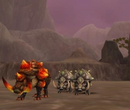 ꡼ No.007Υͥ / MMOFLORENSIAסץƥPKʤ¿Υƥबɲä緿åץǡȤ827˼»